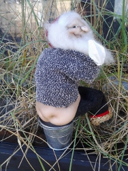 Nisse på spanden